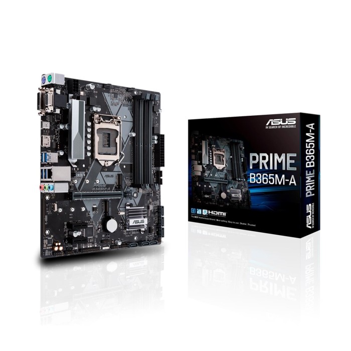 Tarjeta Madre Asus / Intel PRIME B365M-A