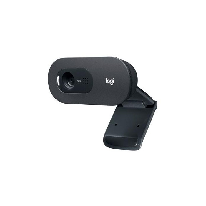 Webcam Logitech C505 HD 720p y micrófono de largo alcance (960-001363)
