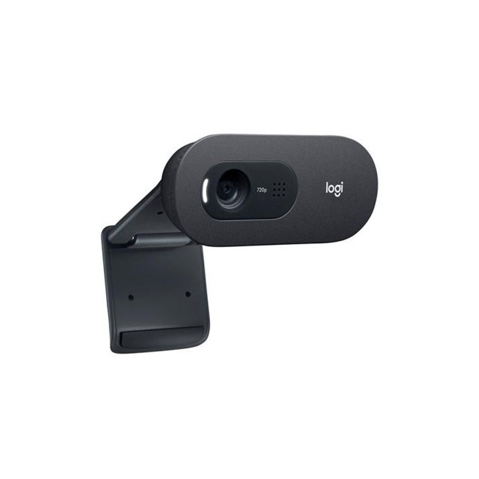 Webcam Logitech C505 HD 720p y micrófono de largo alcance (960-001363)