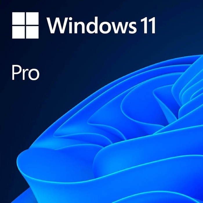 Microsoft Windows 11 Home 64 Bits, Plurilingüe, Descarga digital (ESD)