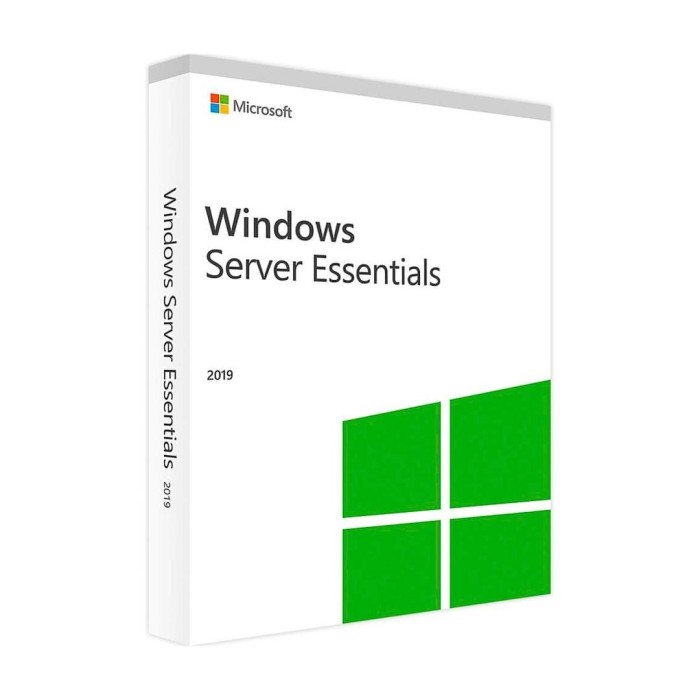 Licencia Microsoft Windows Server 2019 Essentials 1 servidor (1-2 CPU) OEM 64-bit Español