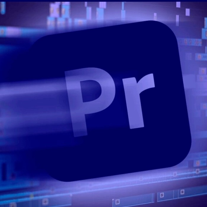 Licencia Adobe Premiere Pro For Teams Suscripción Anual 1 Usuario