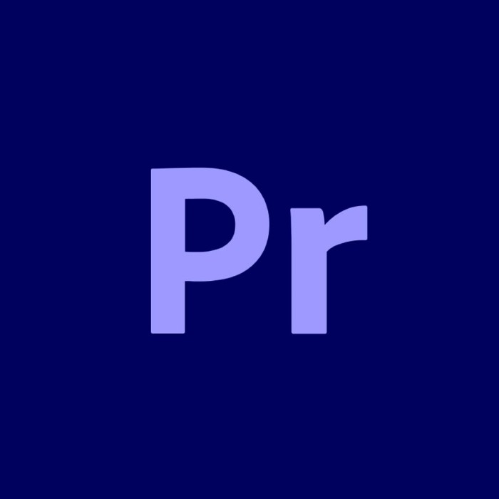 Licencia Adobe Premiere Pro For Teams Suscripción Anual 1 Usuario