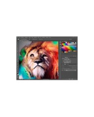 Licencia Adobe Photoshop for Teams, Suscripción Anual, 1 Usuario