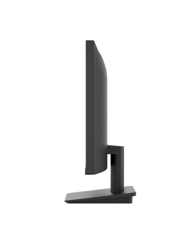 Monitor Plano LG 24" IPS Full HD 100Hz 5ms HDMI VGA Speakers