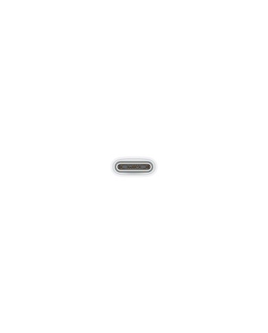 Cable Apple USB-C a Lightning 1 Metro Blanco