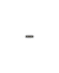 Cable Apple USB-C a Lightning 1 Metro Blanco