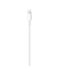 Cable Apple Lightning a USB 1 metro Blanco