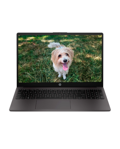 NotebookHP 250 G10  i3-N305, 8GB Ram, 256GB SSD, FreeDOS, 15,6"