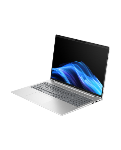 Notebook HP ProBook 4G1i R16 16" Intel Core 5 DDR5 16 GB 512 GB SSD W11 Pro Gris