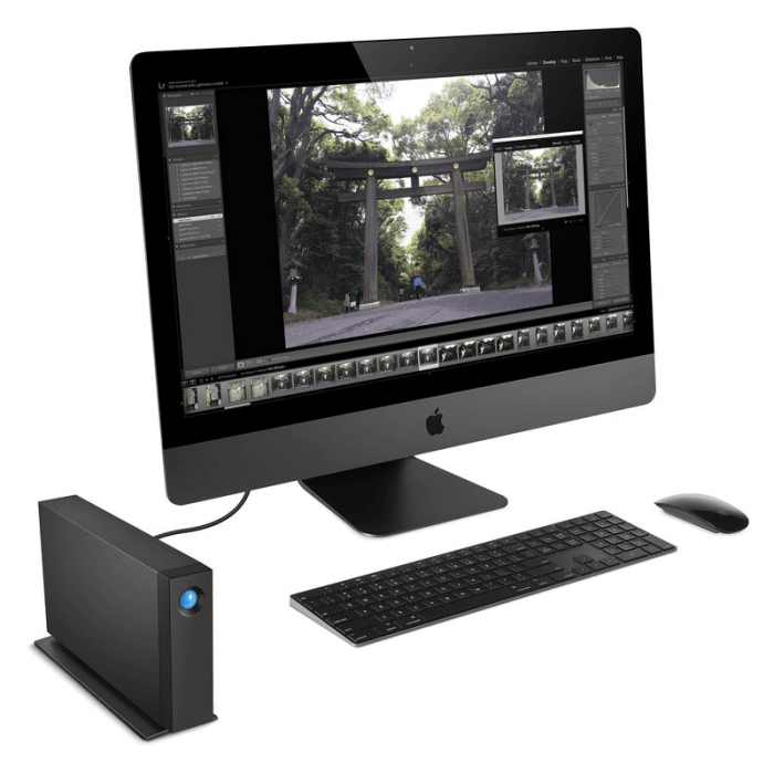 Disco Duro Externo Seagate LaCie d2 Professional 8TB USB 3.1 Gen 2 Tipo-C Negro