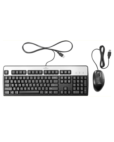 Combo Teclado Mouse Alámbrico HP 631341-B21 Teclado Inglés Mouse Optico USB Negro