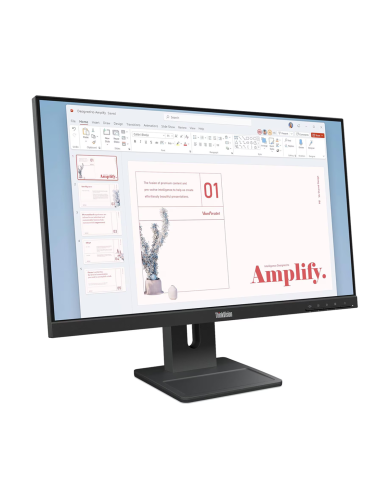 Monitor Lenovo ThinkVision E24-40 23.8” (64BAMAR1CL) IPS 100Hz 4ms, Pivotable Hdmi + Display Port