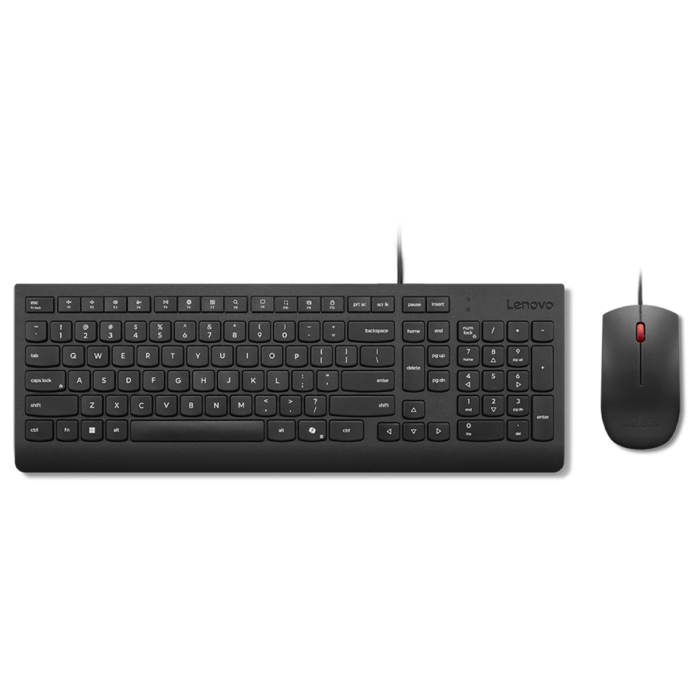 Combo Teclado y Mouse Lenovo Essential USB Español Negro
